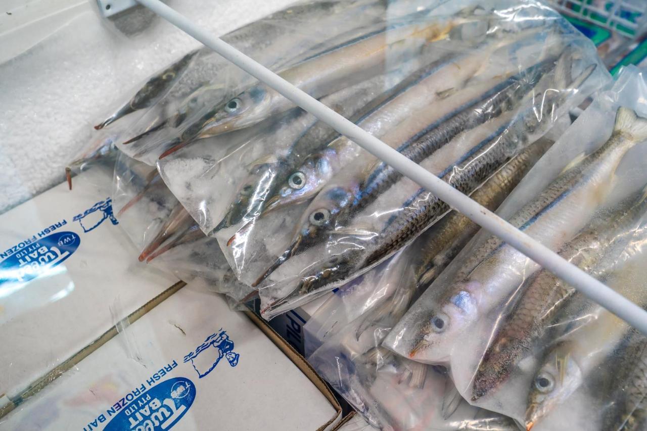 Lucinda Fishing Lodge Ngoại thất bức ảnh